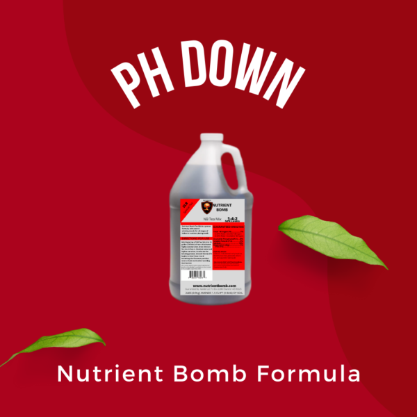 ph down hydroponic nutrients